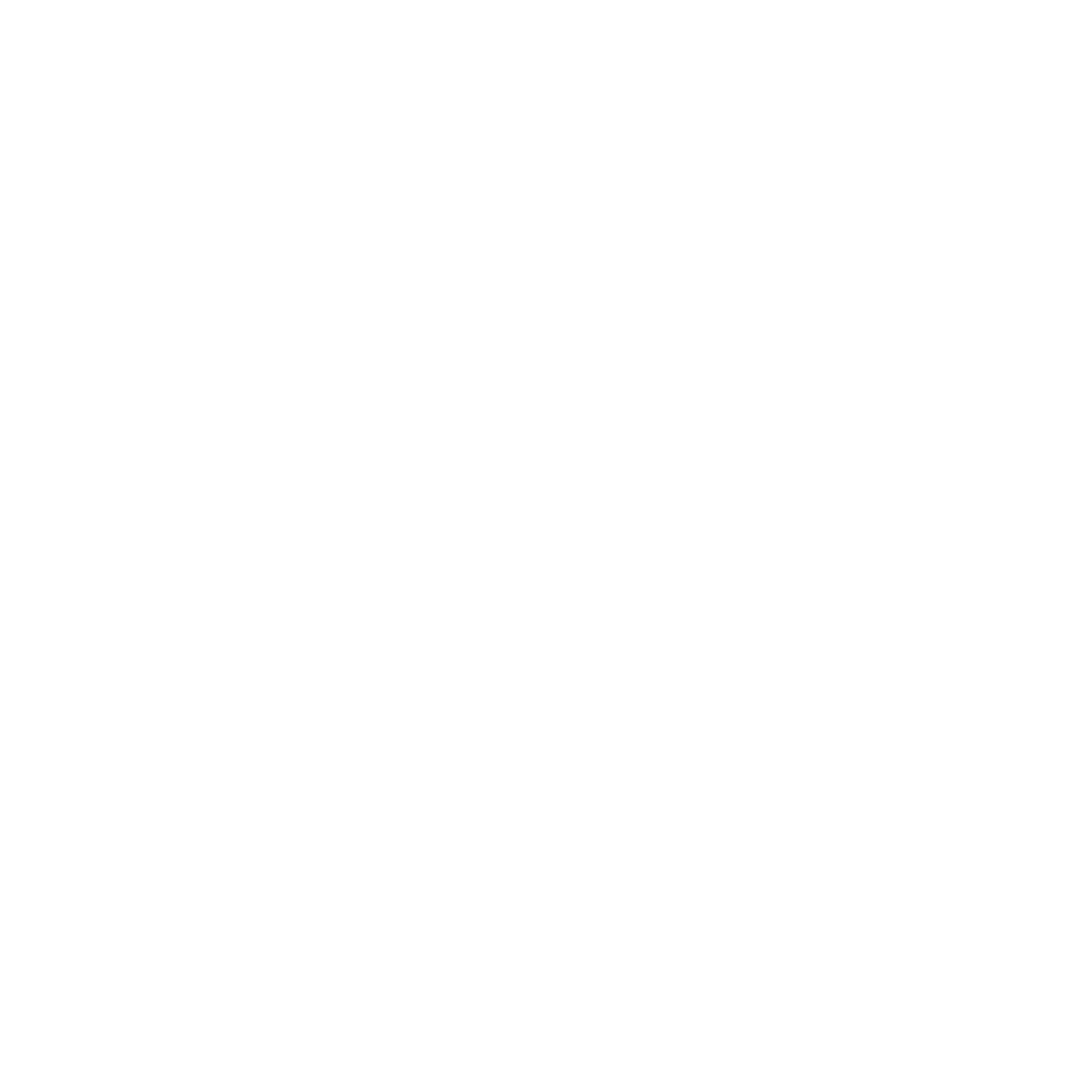 Y-shaped Connector